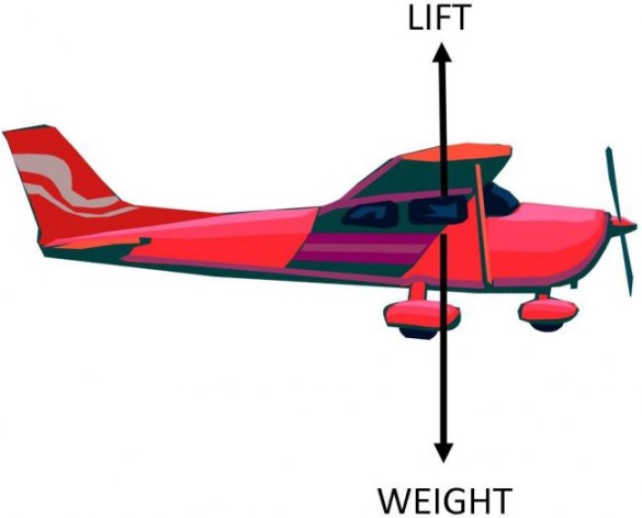 Plane CG - image 4